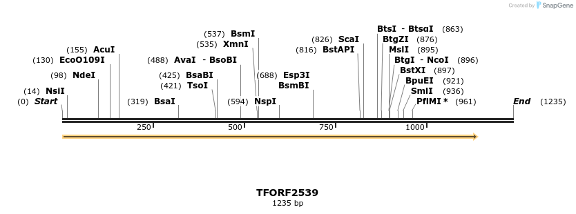 282254_map