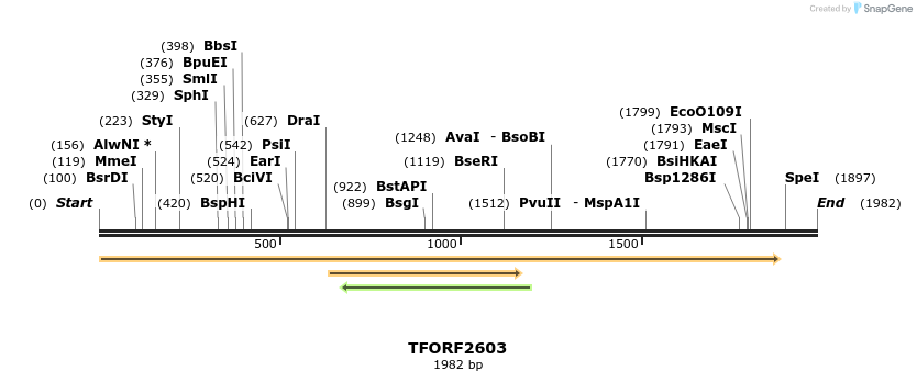 282257_map