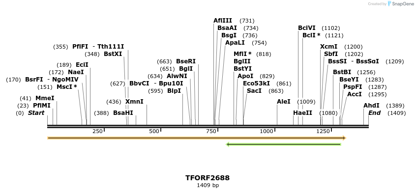 282260_map