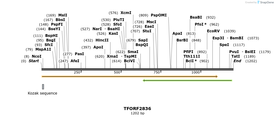 282266_map