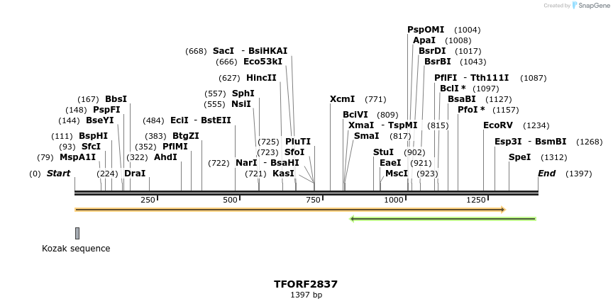 282269_map