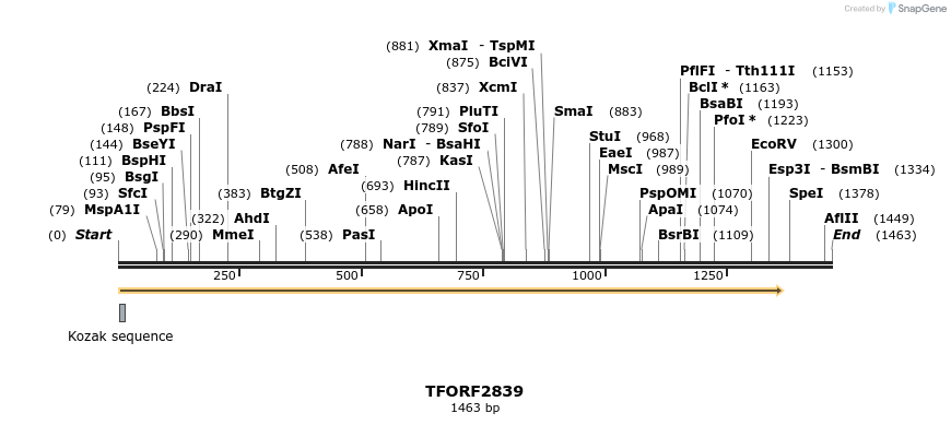 282272_map