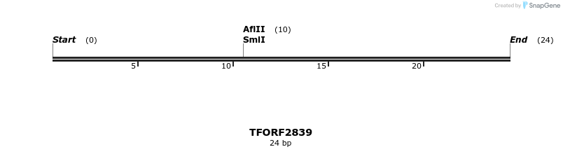 282273_map