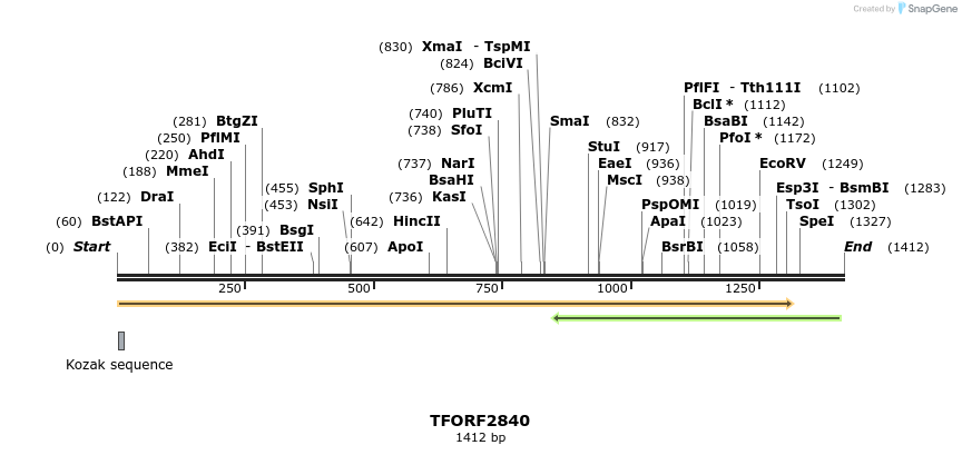 282275_map
