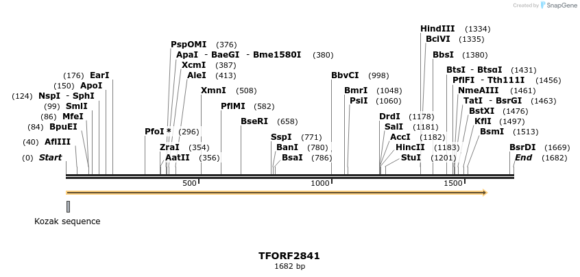 282278_map