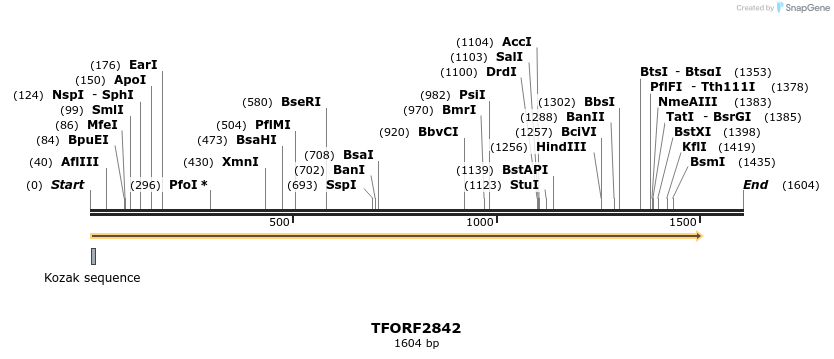 282281_map
