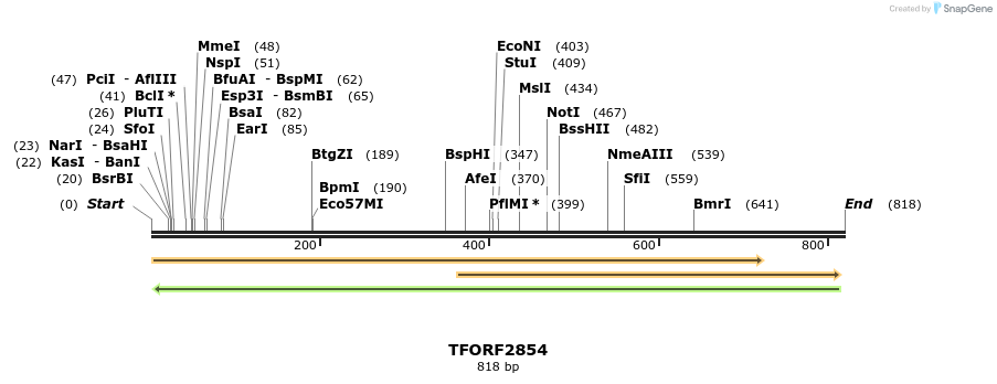 282290_map