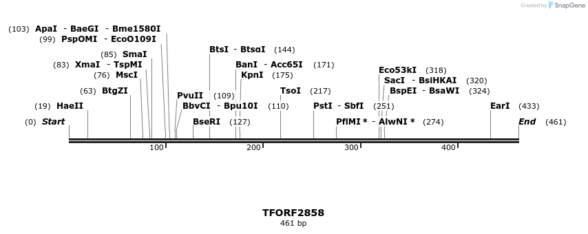 282293_map