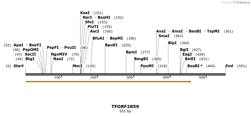 282296_map
