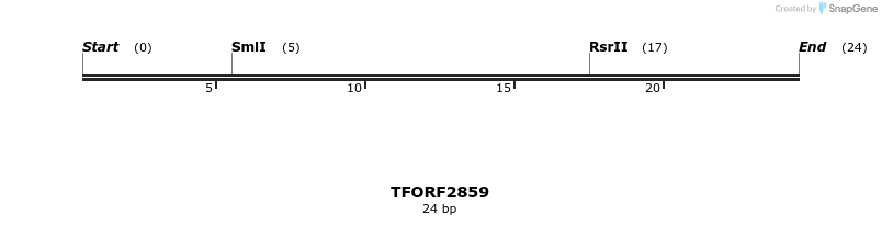 282297_map