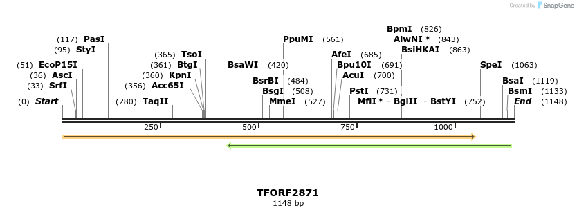 282299_map