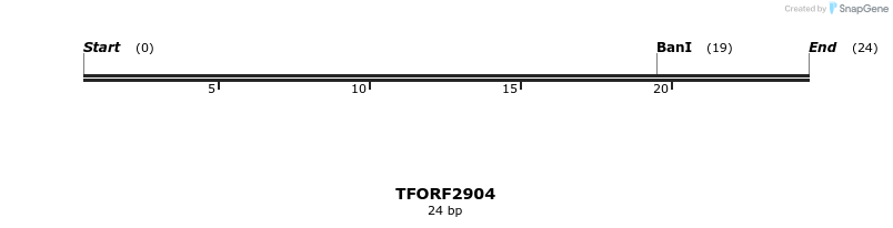 282303_map