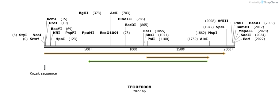 282305_map