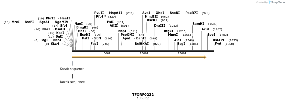282311_map