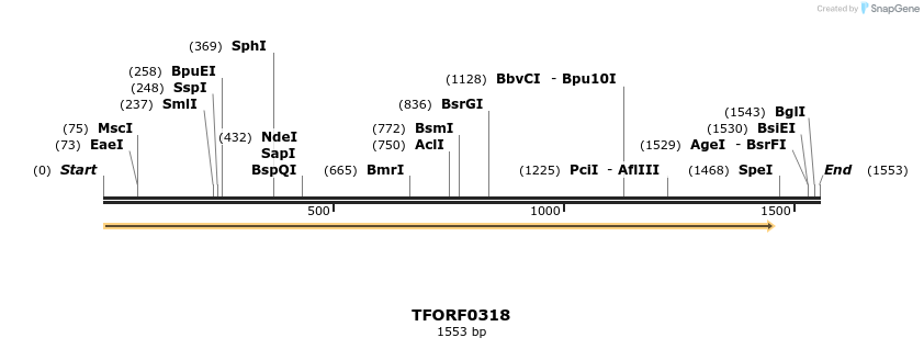 282314_map