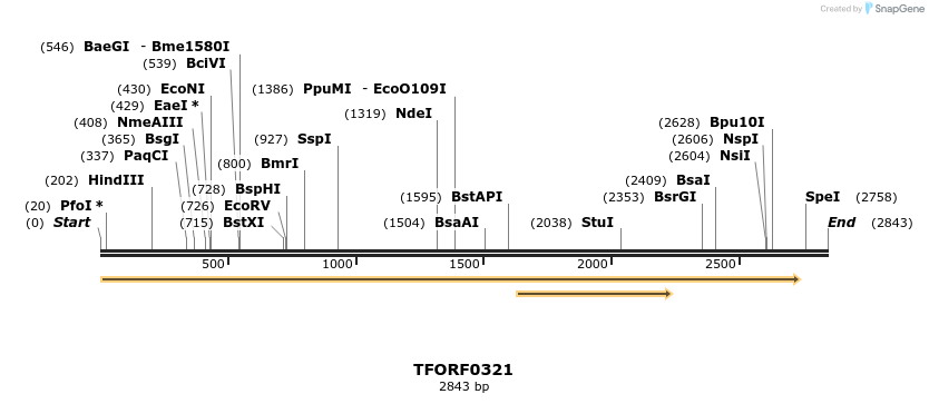 282317_map