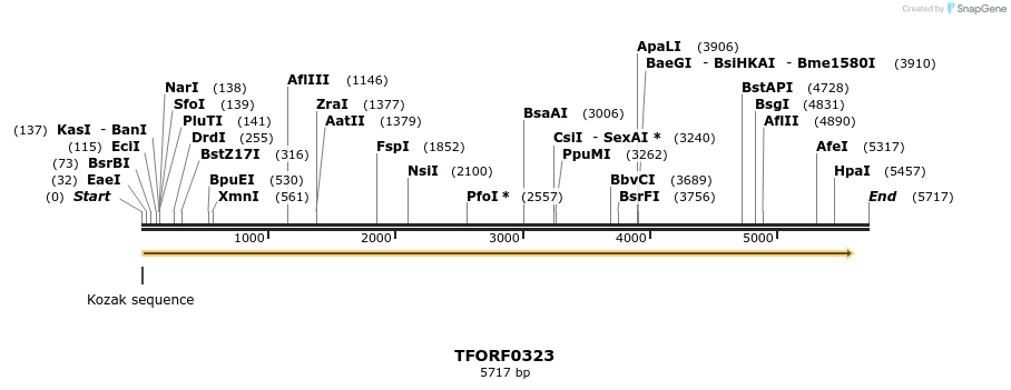 282320_map