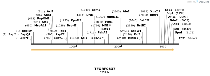 282323_map