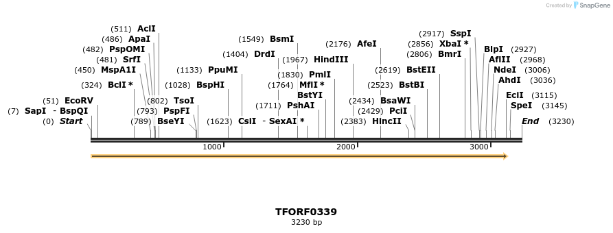 282326_map