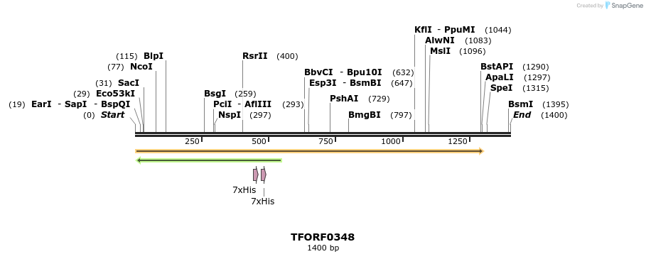 282335_map