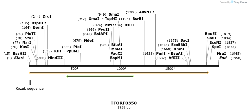 282338_map