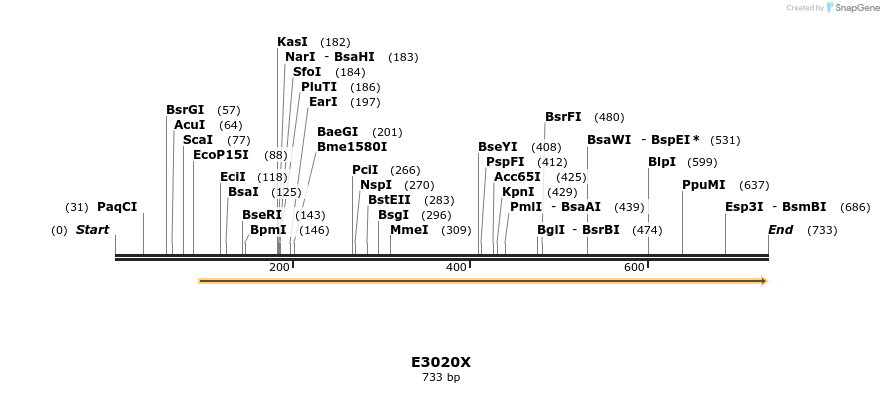 28234_map