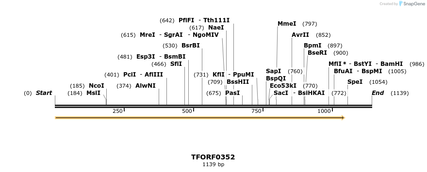 282341_map