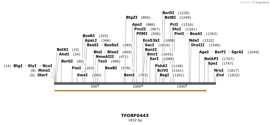 282353_map