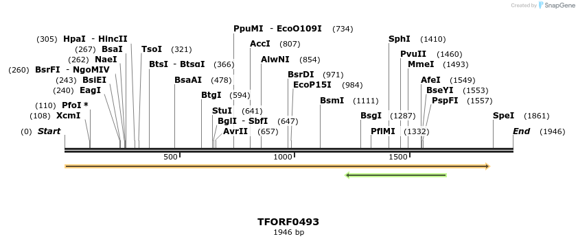 282356_map
