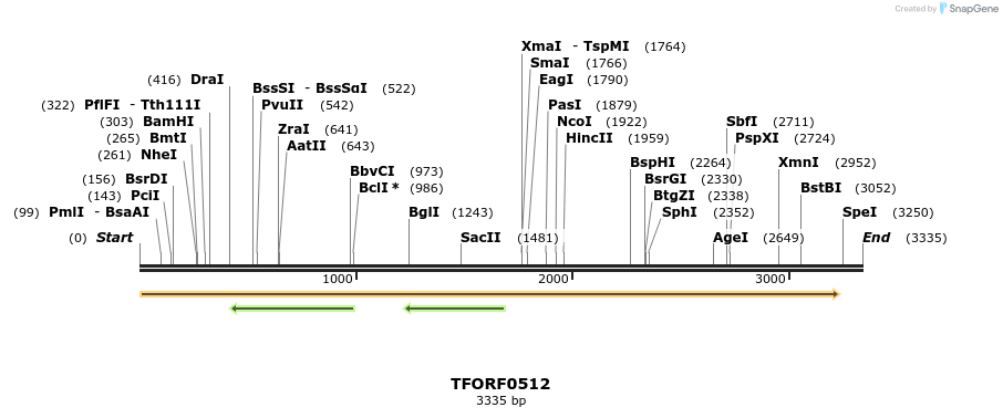 282365_map