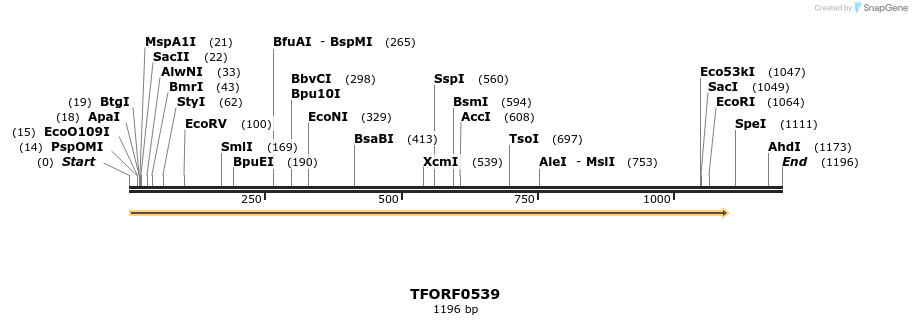 282371_map