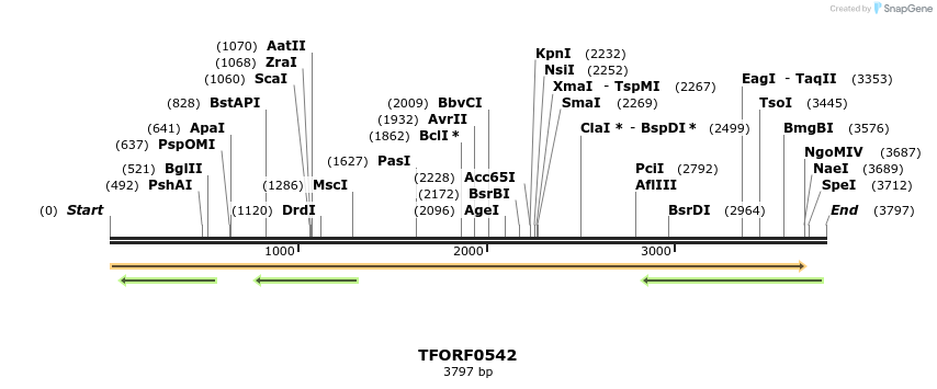 282374_map