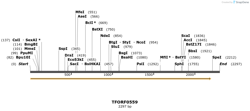 282383_map