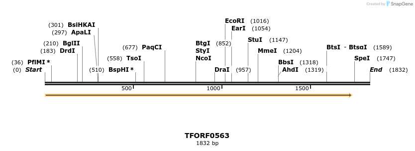 282386_map