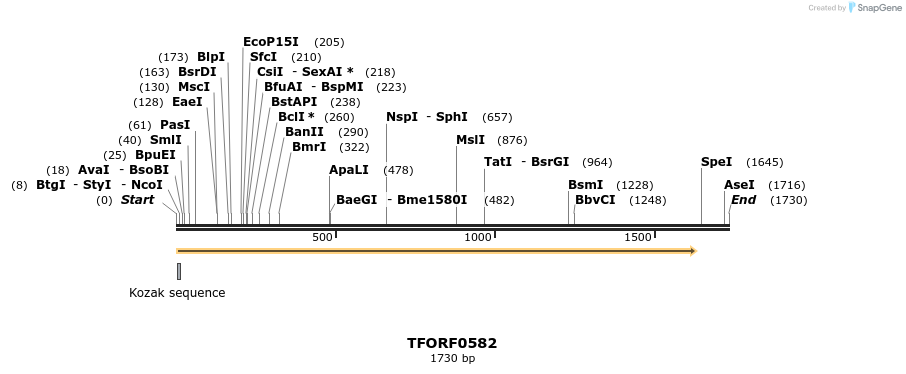 282389_map