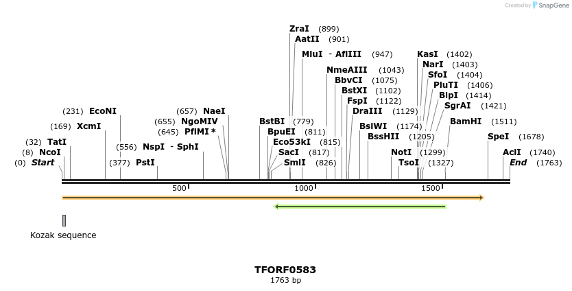 282392_map