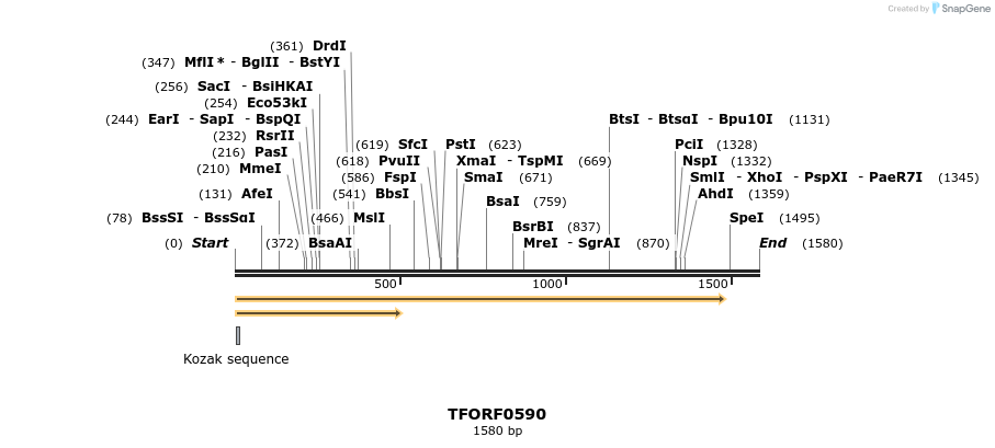 282395_map