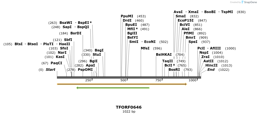 282404_map