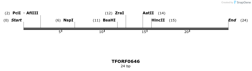 282405_map