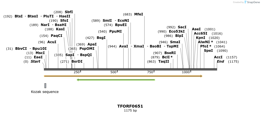 282410_map