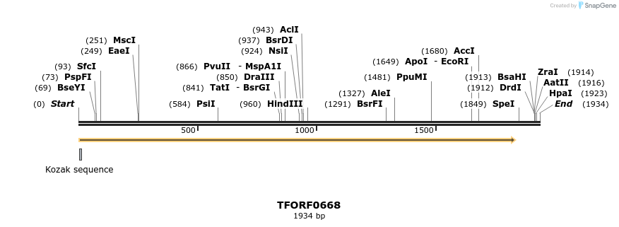 282413_map