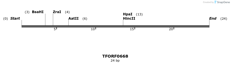 282414_map