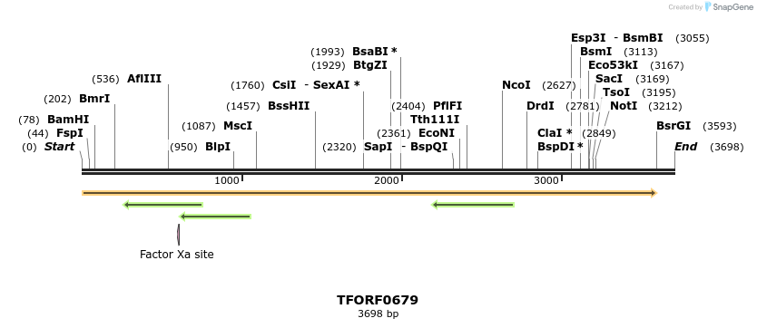 282416_map