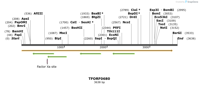 282419_map