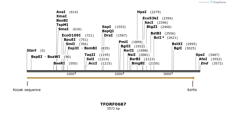 282428_map