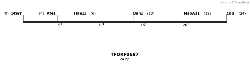 282429_map