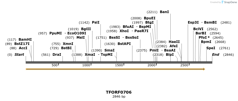 282434_map