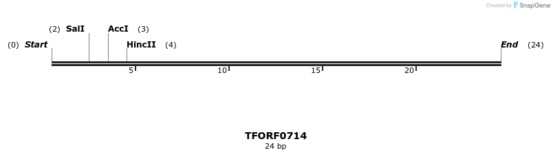 282438_map