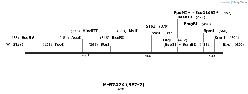 28244_map