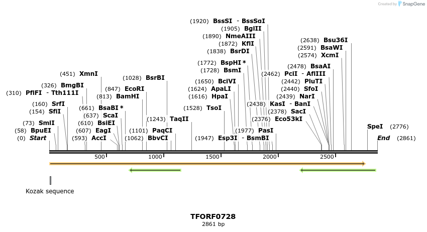 282440_map